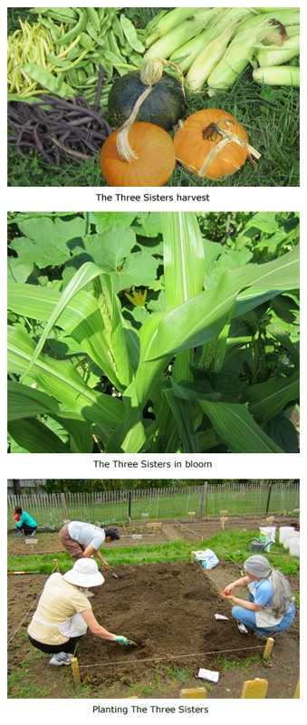 Three Sisters photos